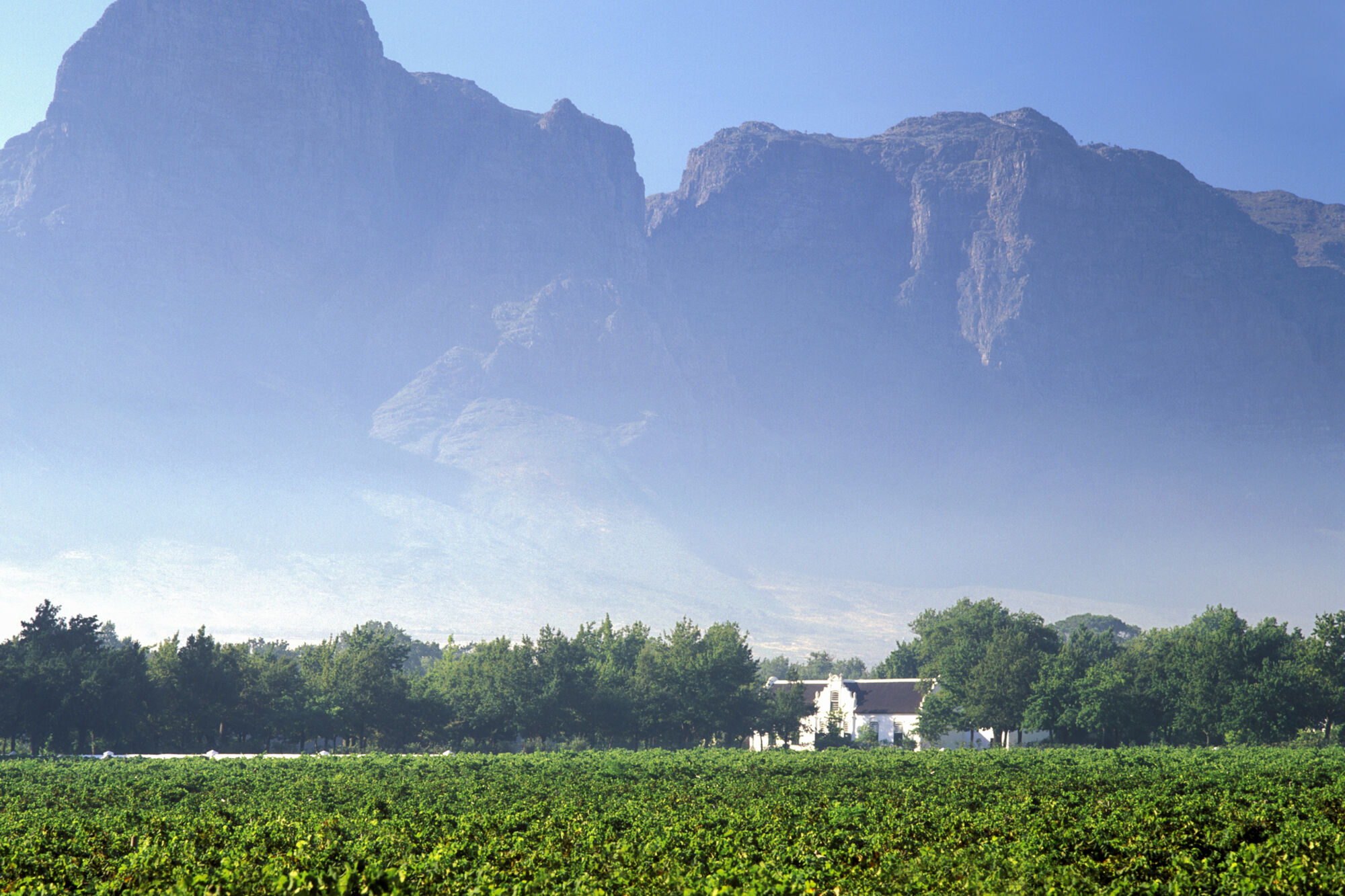 Image Title Image Title