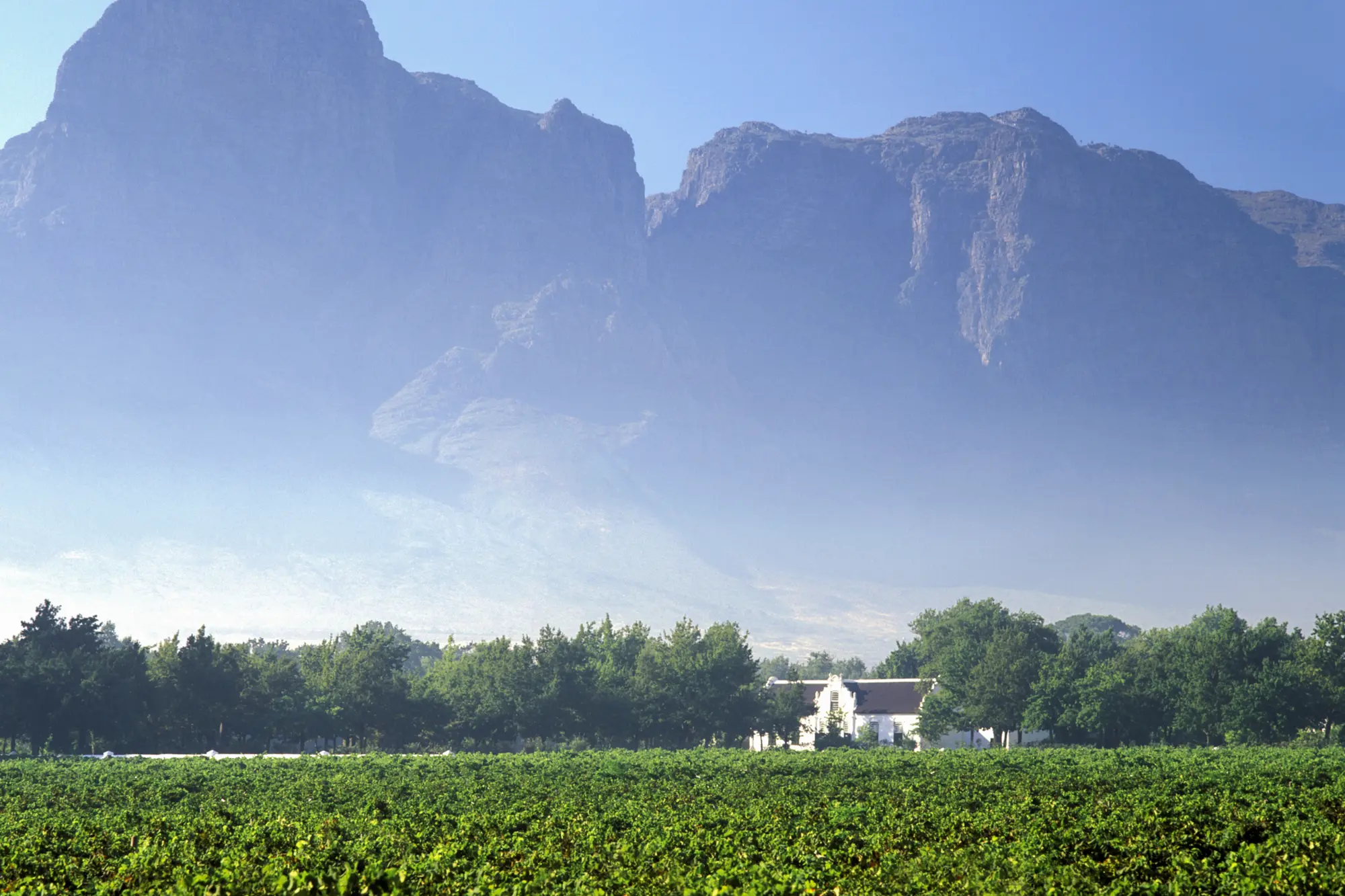 Image Title Image Title