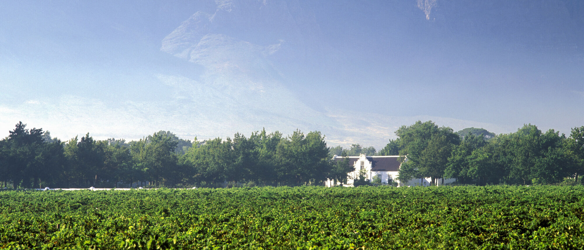 Image Title Image Title