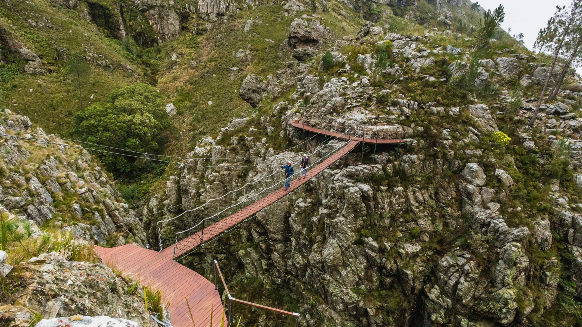 Image Title Image Title