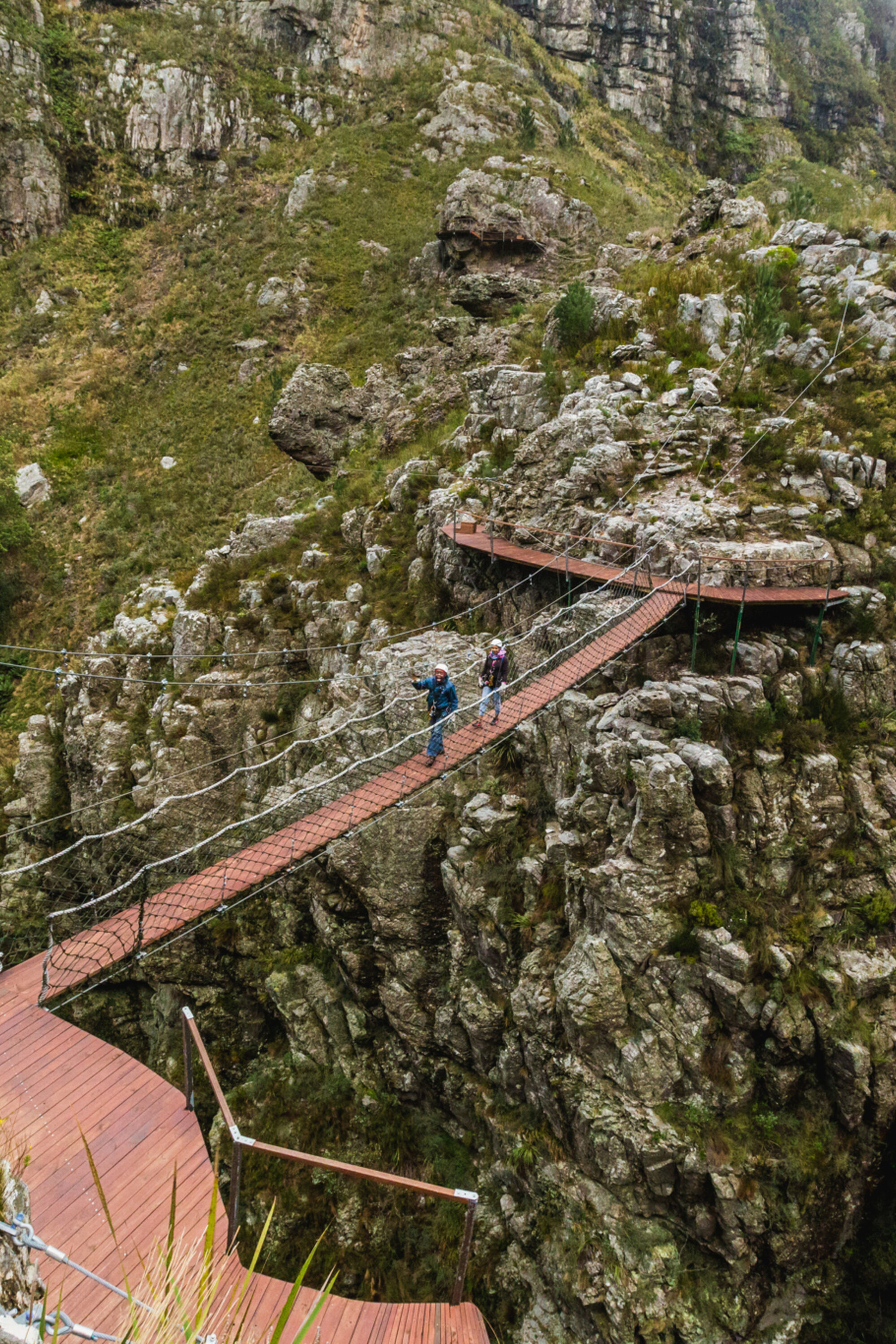 Image Title Image Title