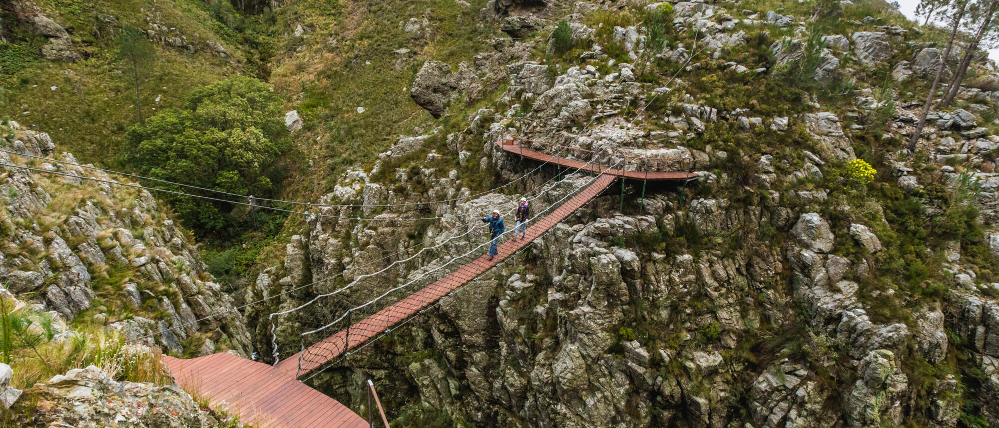 Image Title Image Title