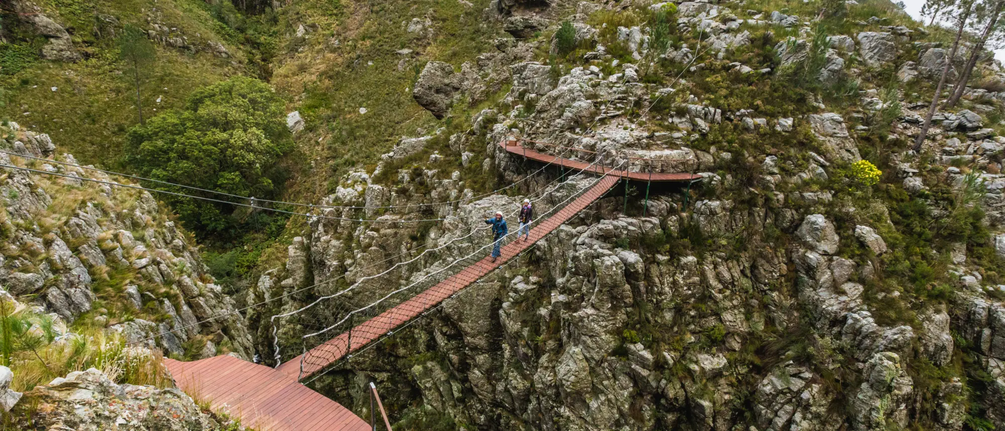 Image Title Image Title