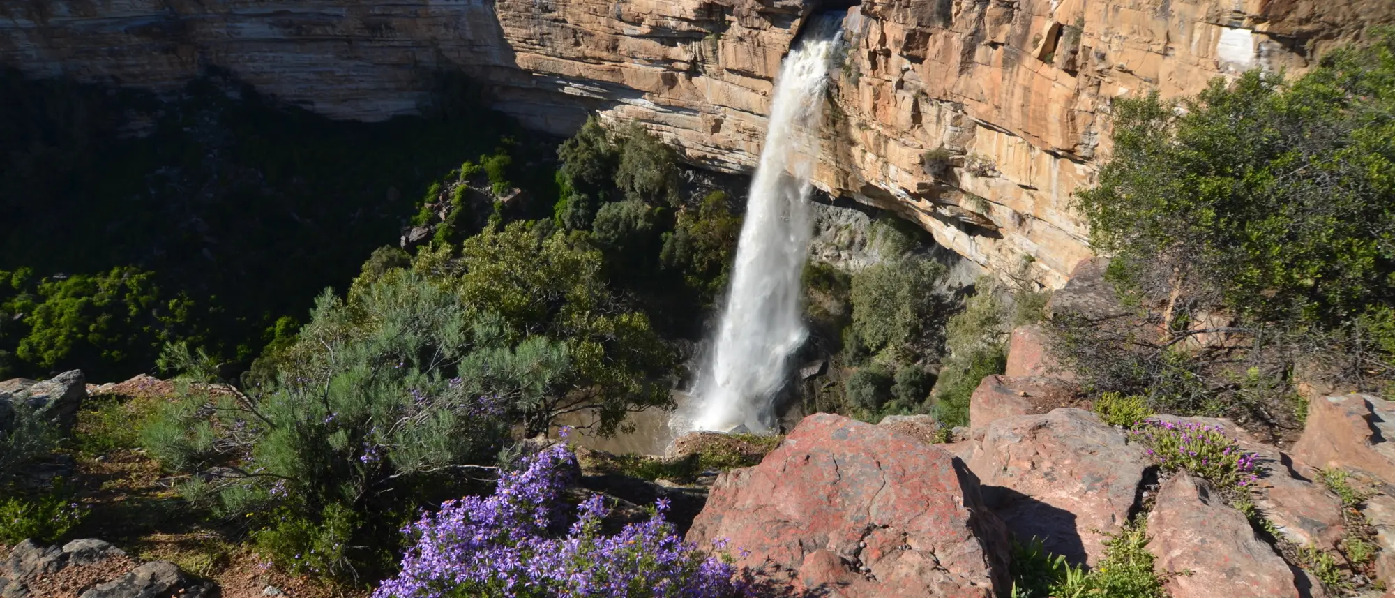 Image Title Image Title