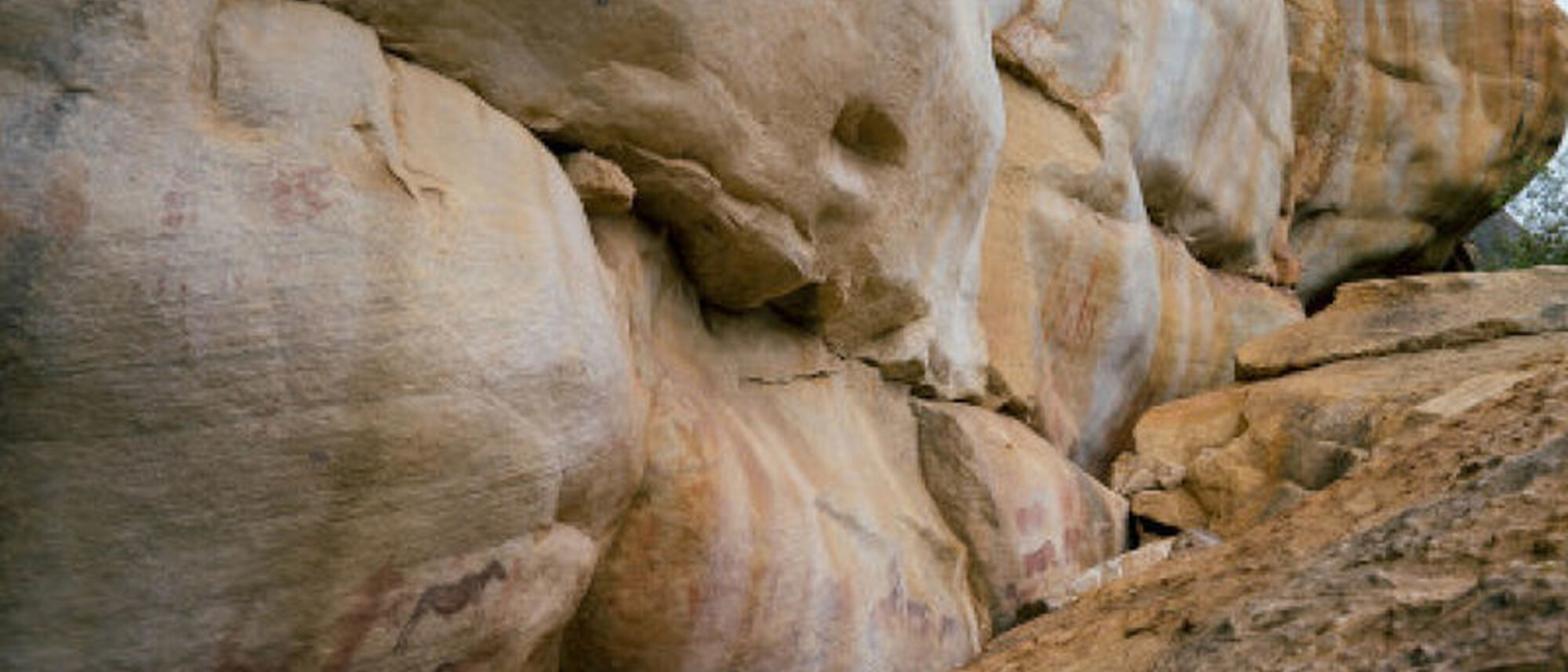 Image Title Image Title