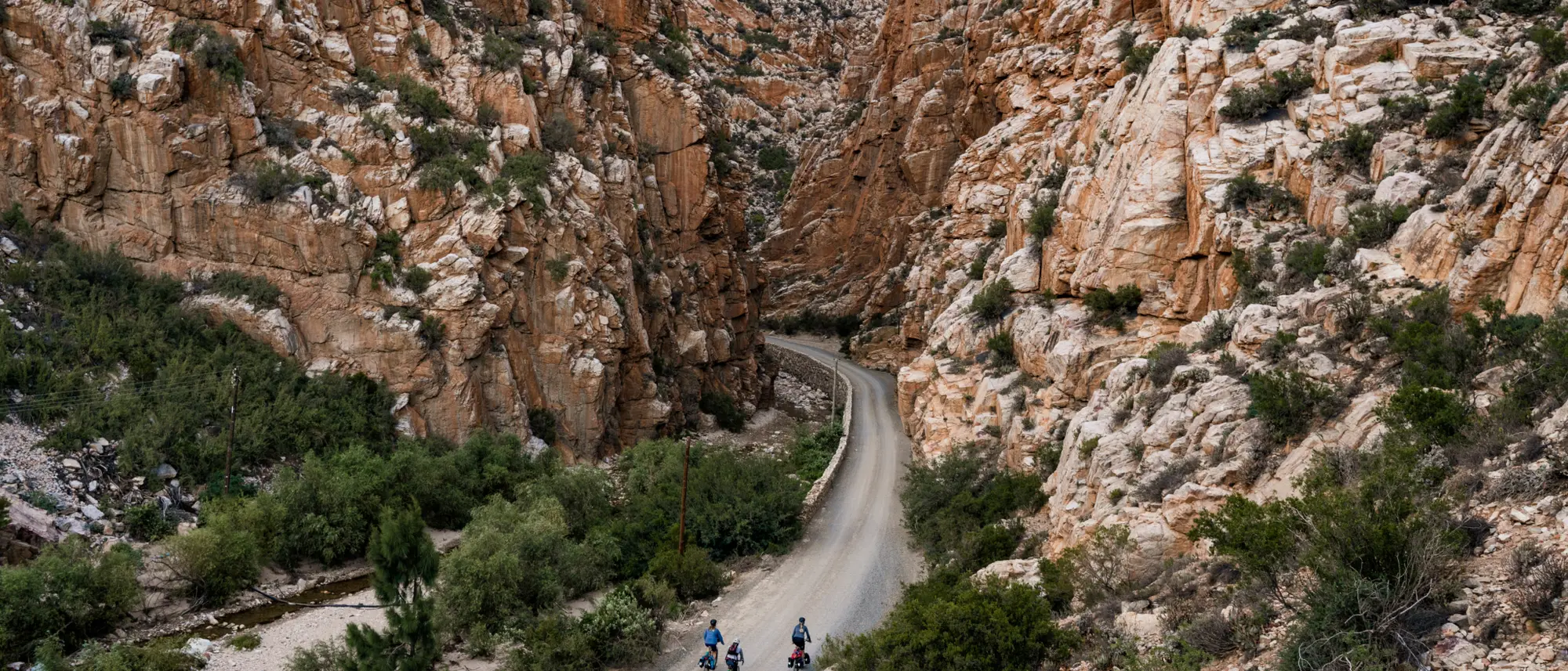 Image Title Image Title