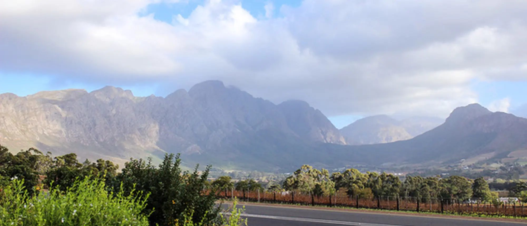 Image Title Image Title