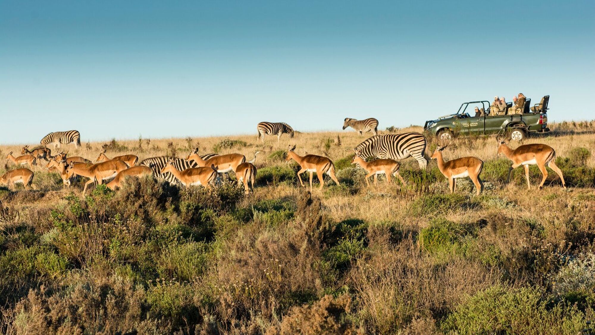 Image Title Image Title