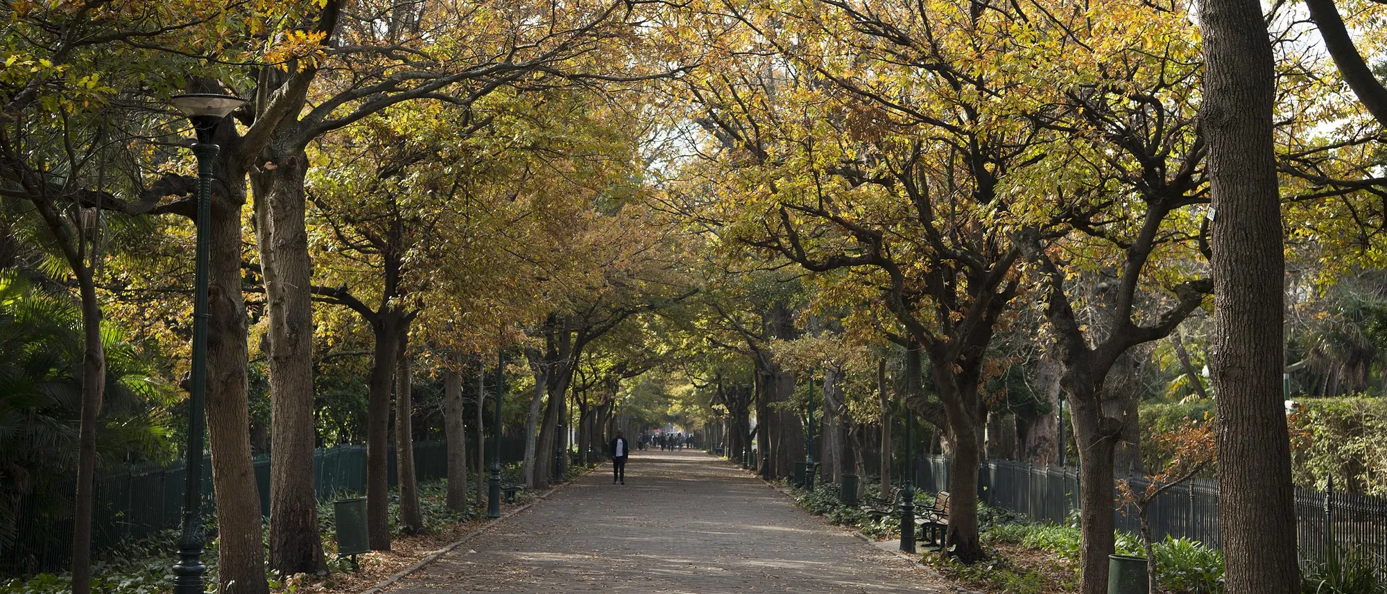 Image Title Image Title