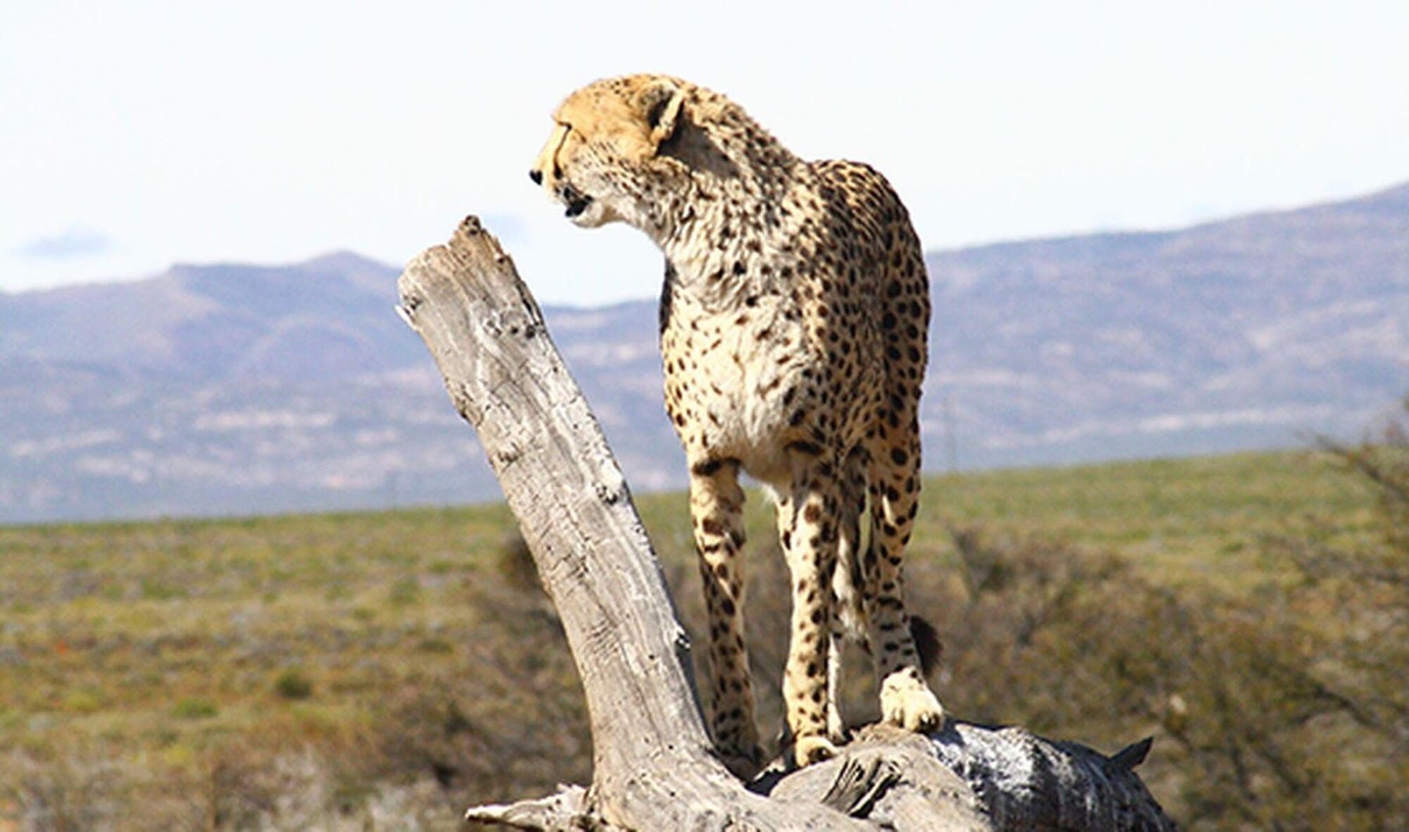 Inverdoorn Inverdoorn