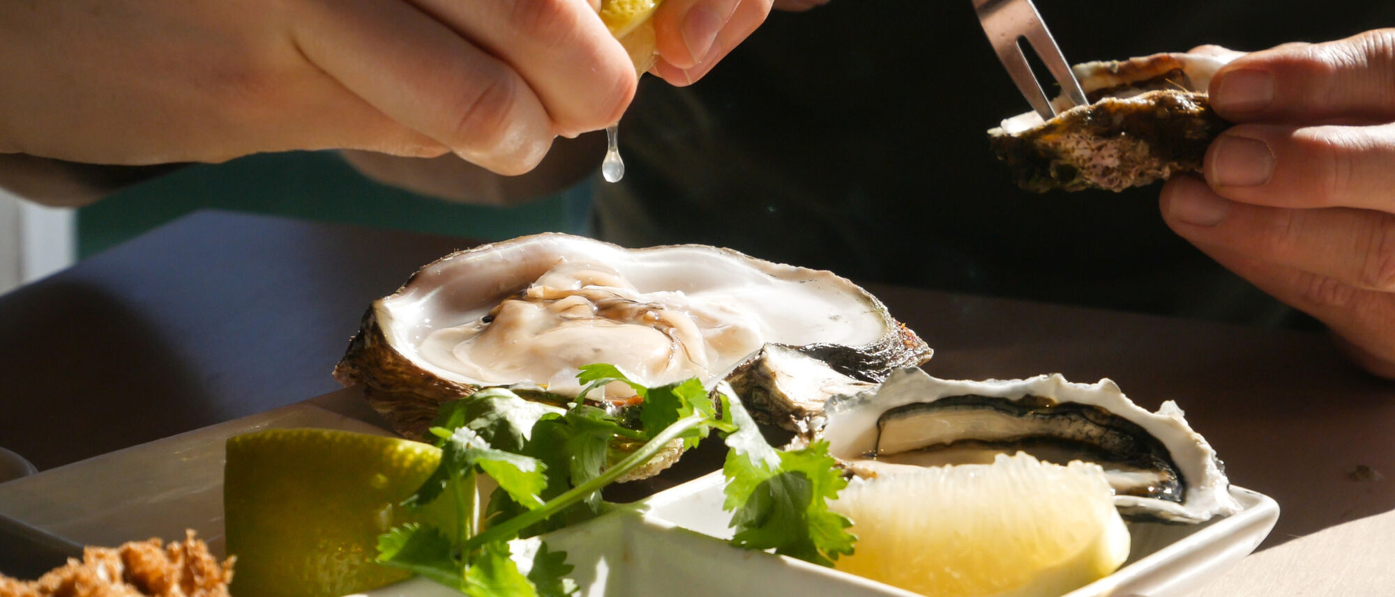 Image Title Image Title