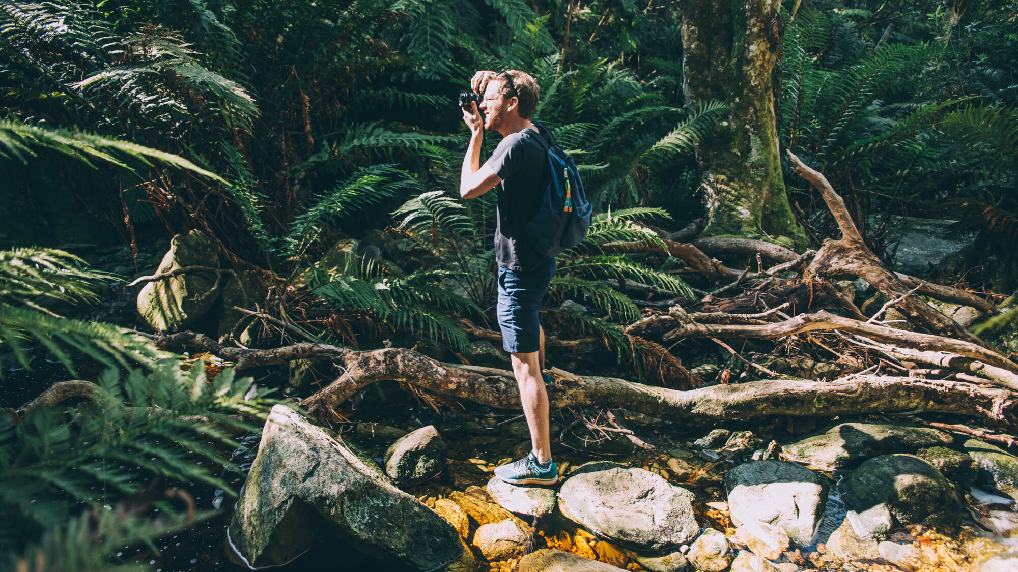 Image Title Image Title