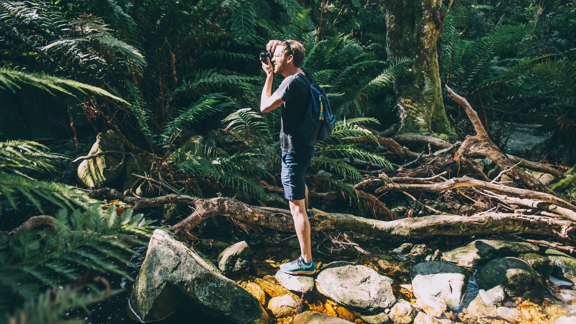 Image Title Image Title