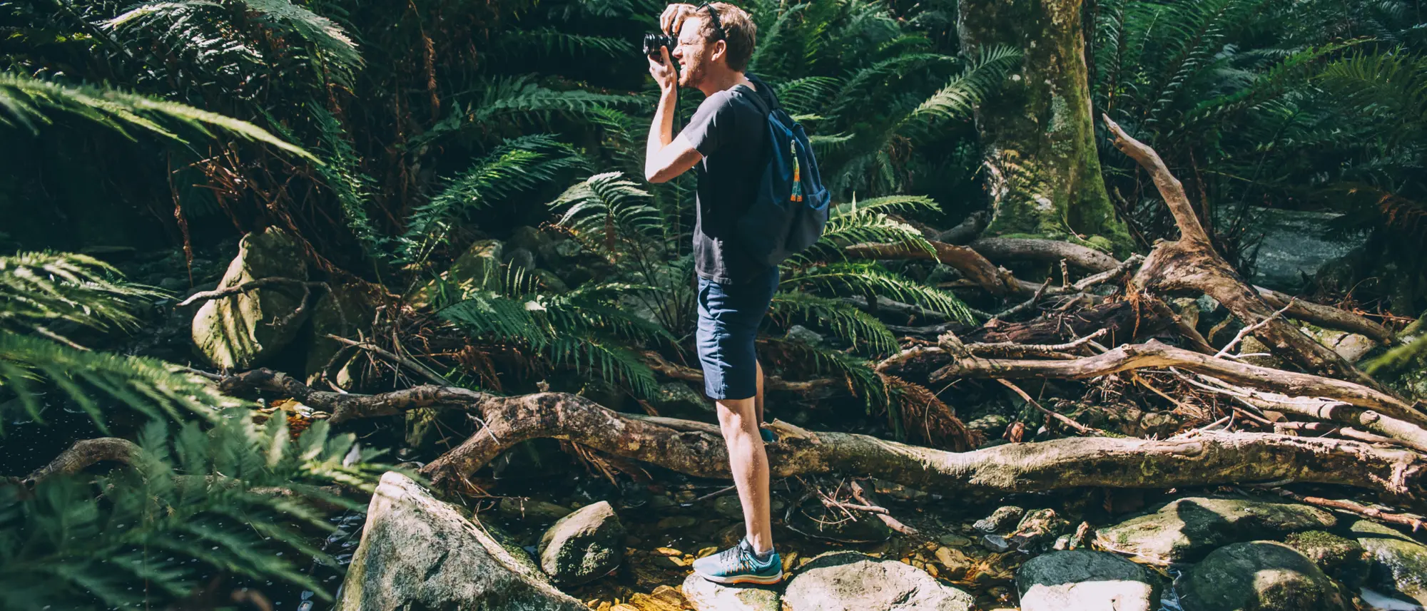 Image Title Image Title