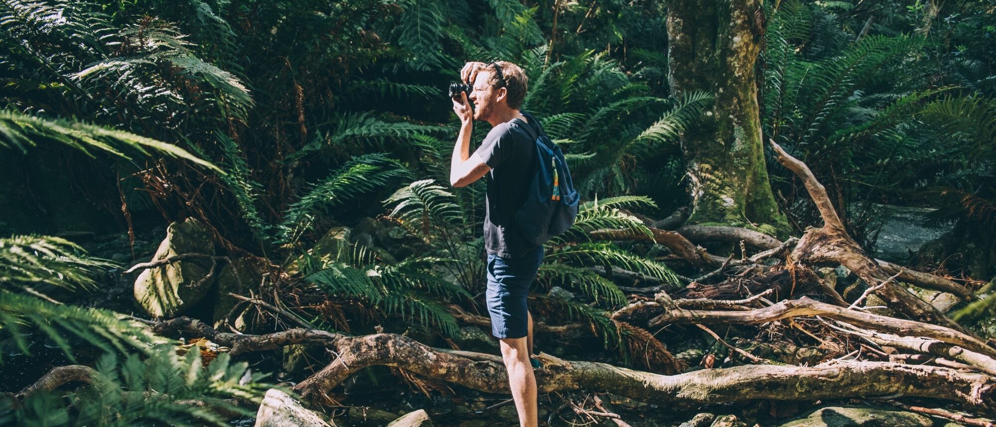 Image Title Image Title