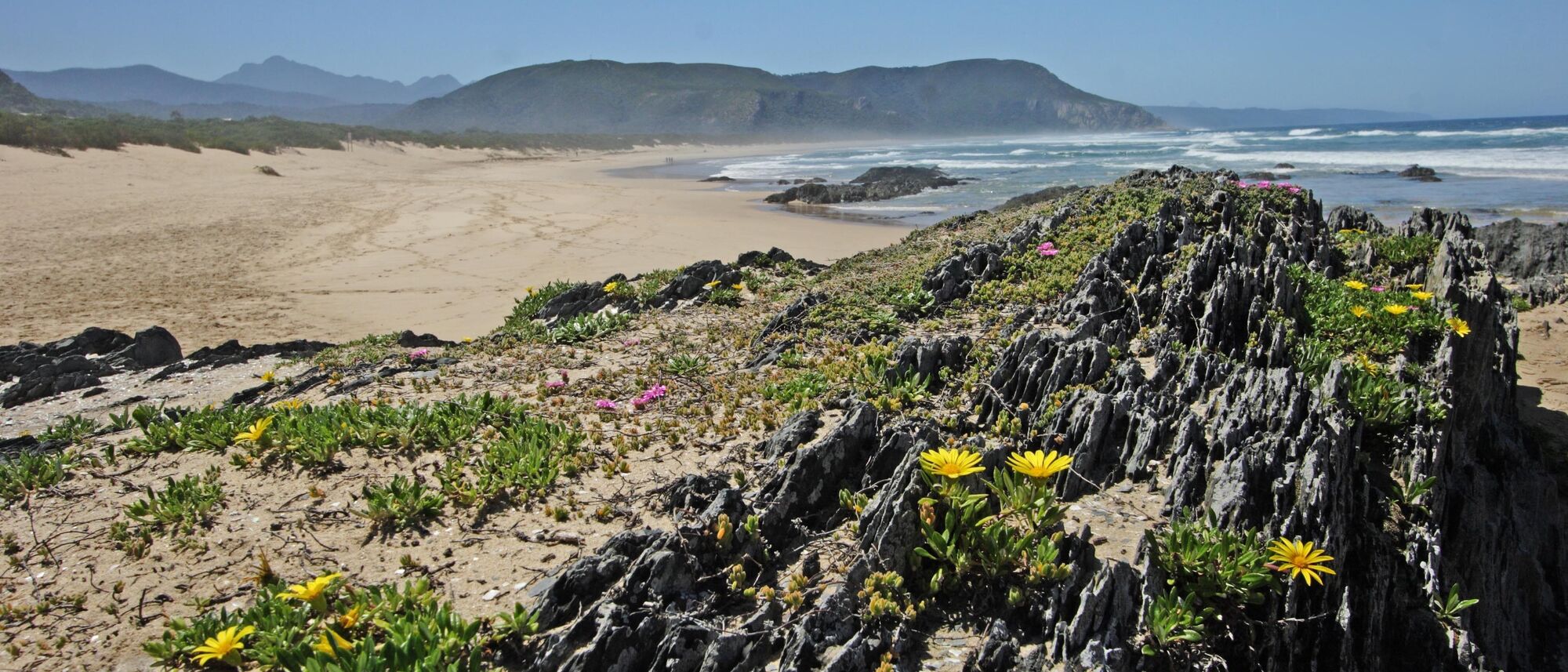 Image Title Image Title