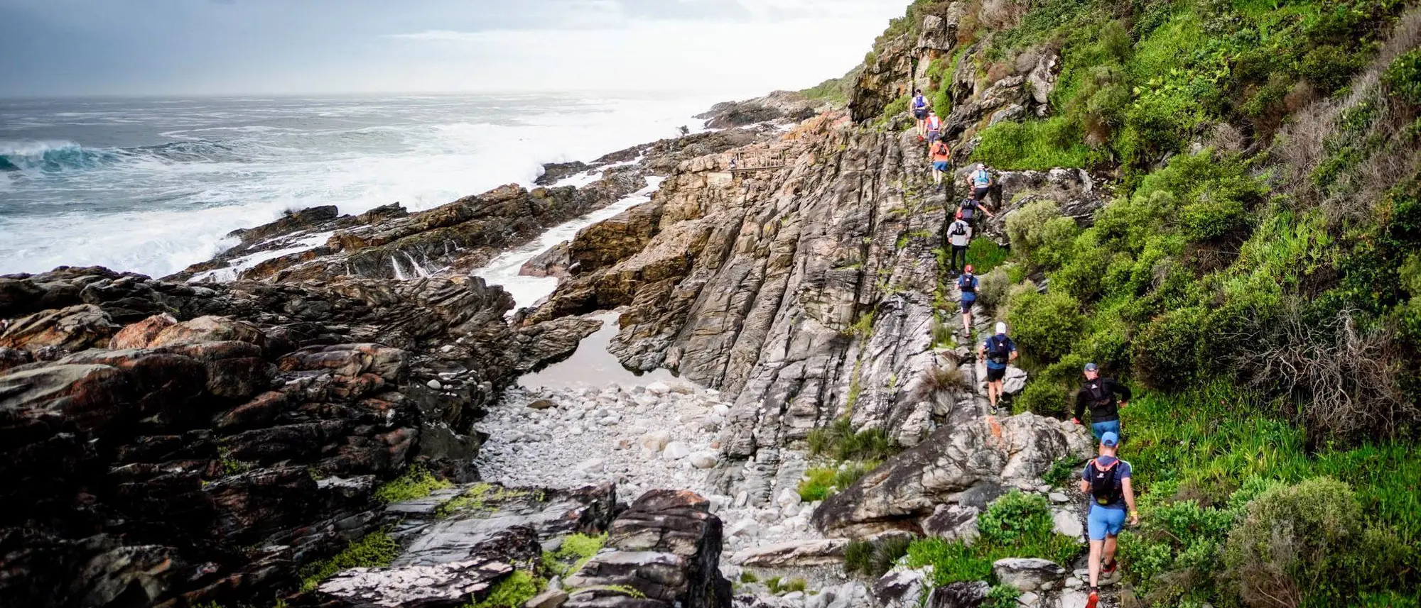 Image Title Image Title