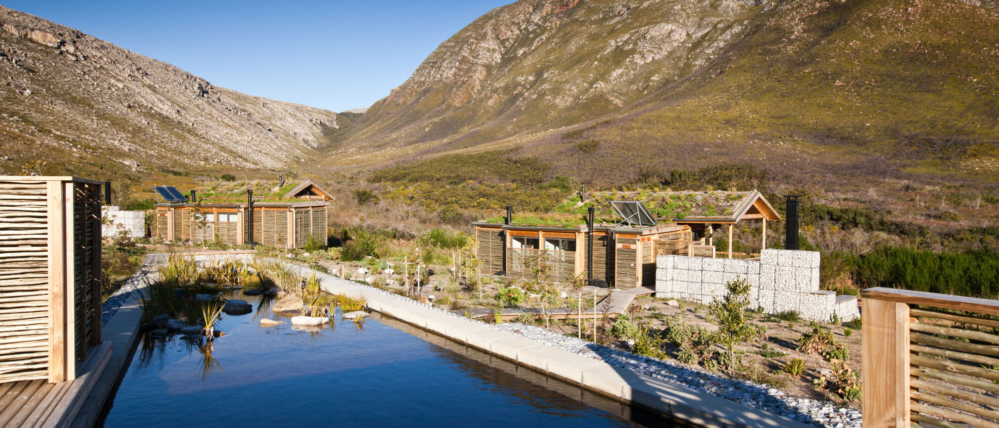 Image Title Image Title