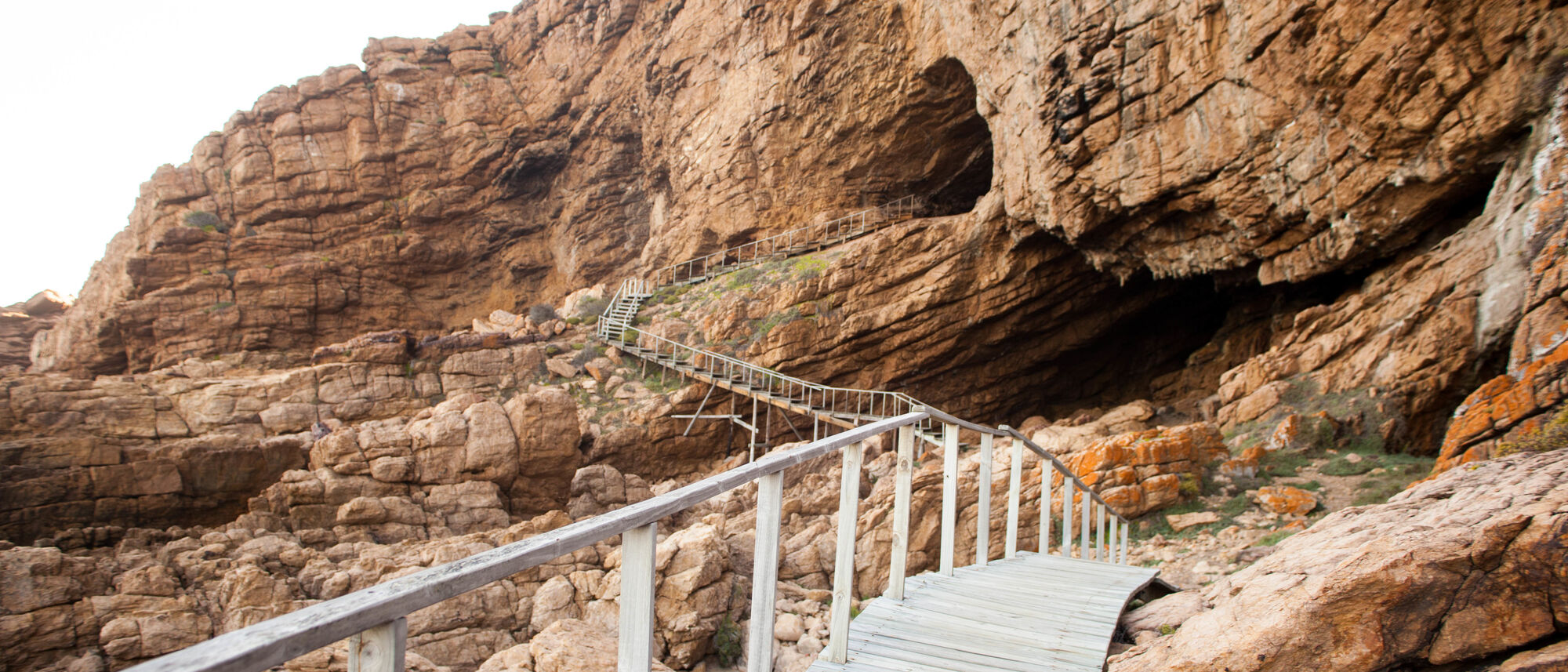 Image Title Image Title