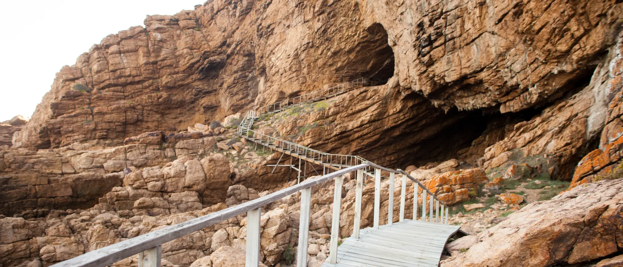 Image Title Image Title