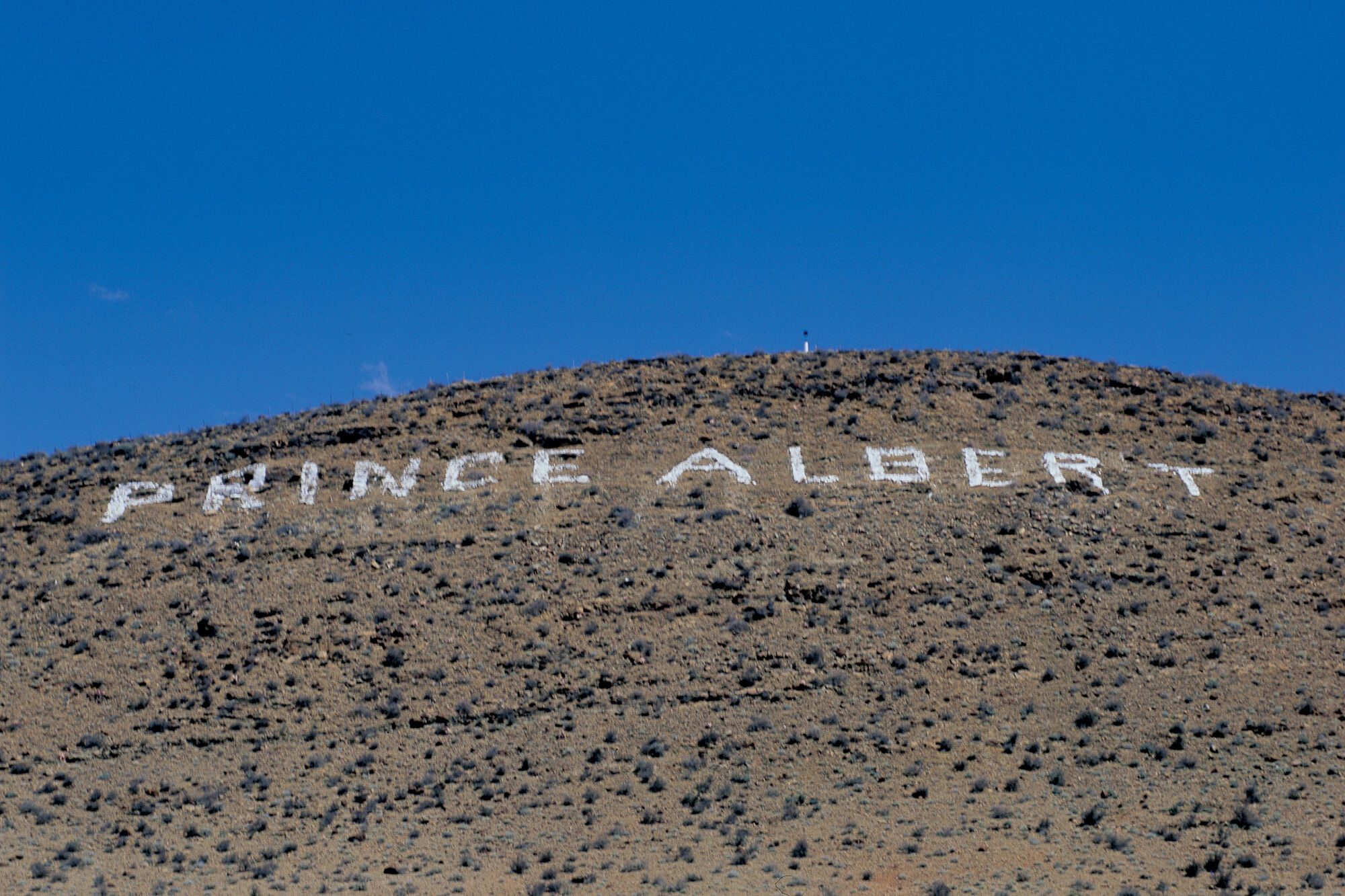 Image Title Image Title