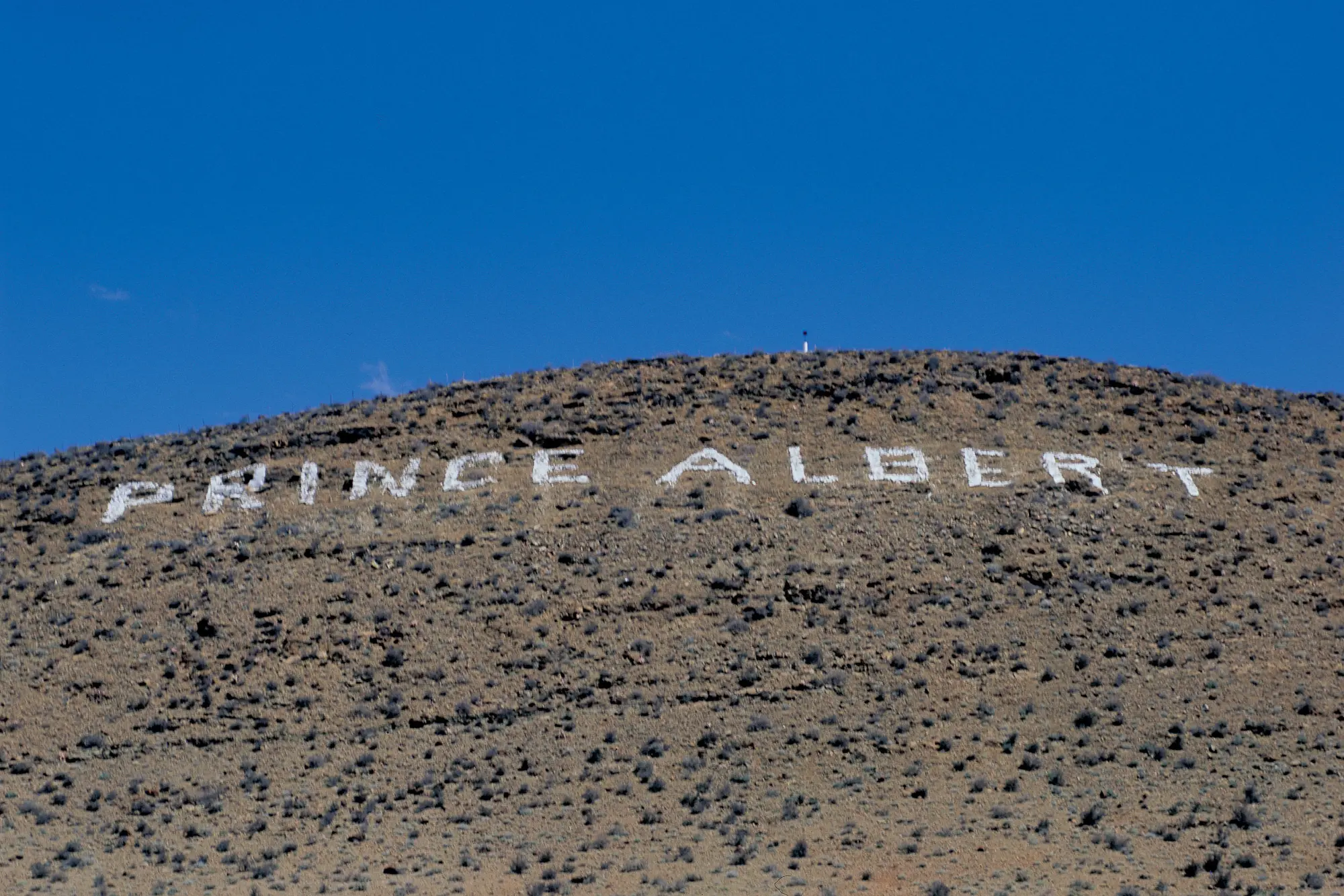 Image Title Image Title