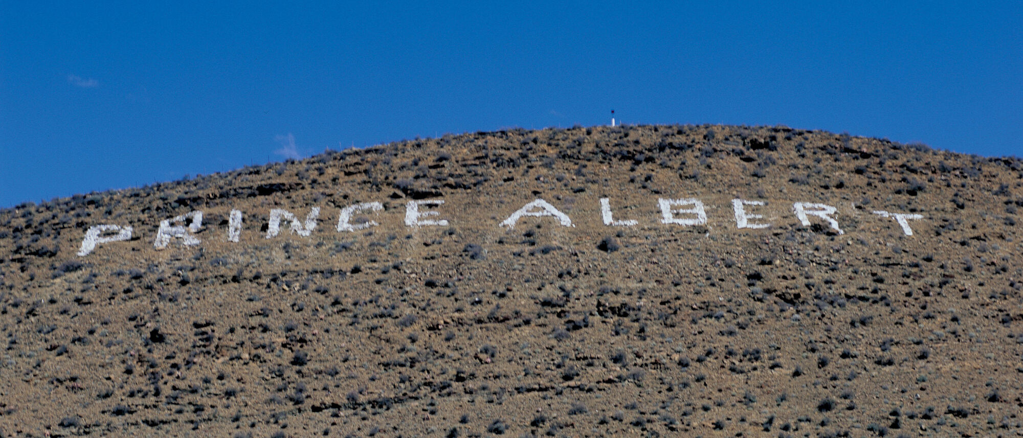 Image Title Image Title