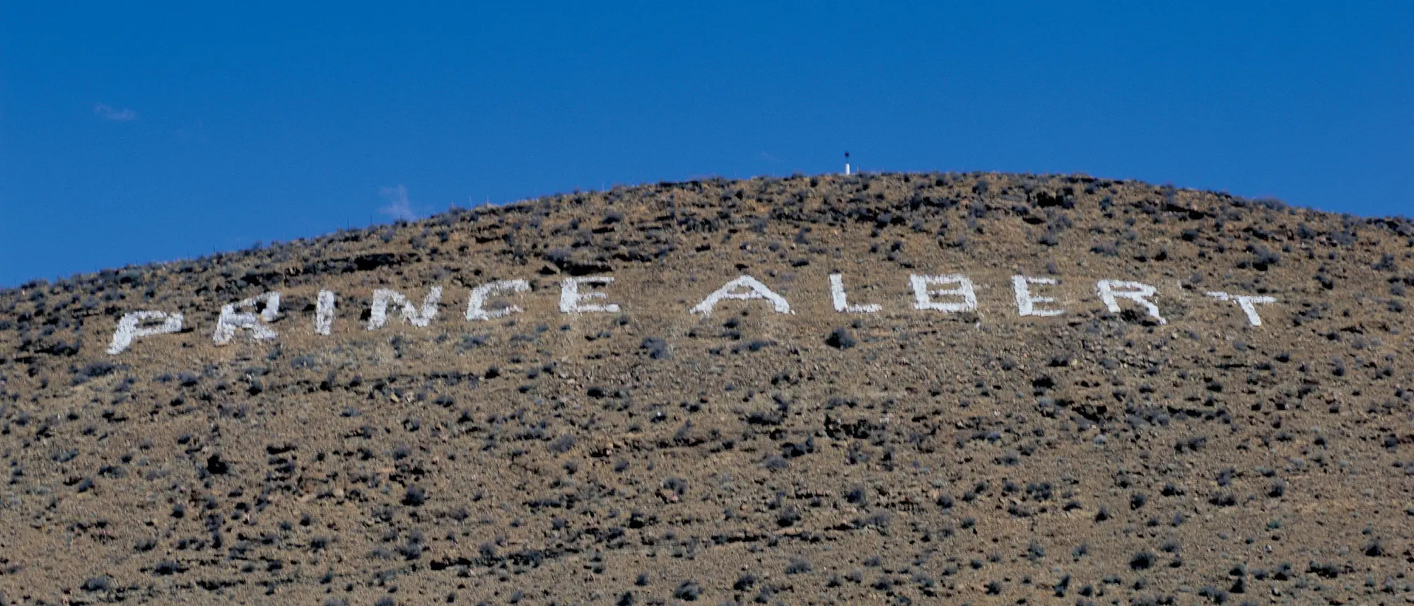 Image Title Image Title