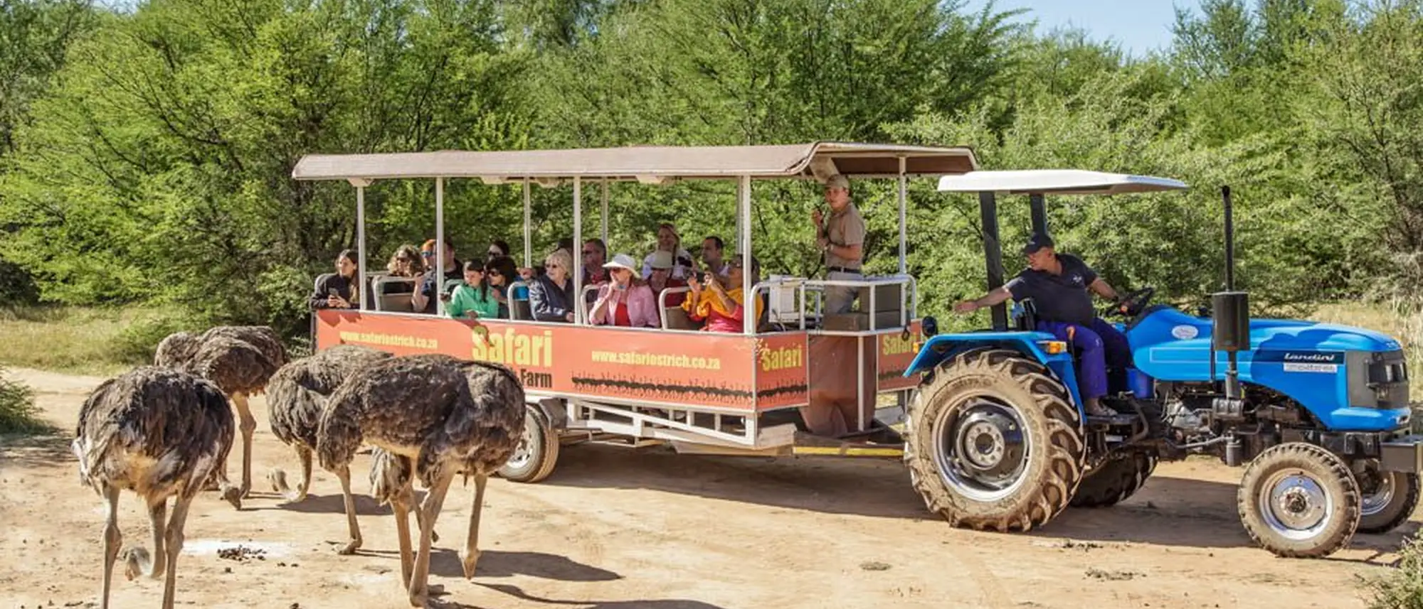 Image Title Image Title