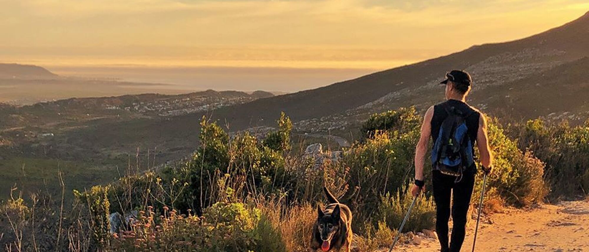 Image Title Image Title