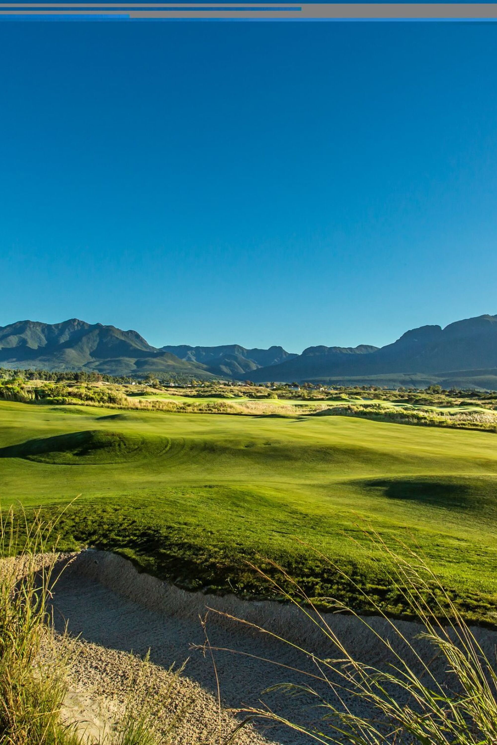 Image Title Image Title