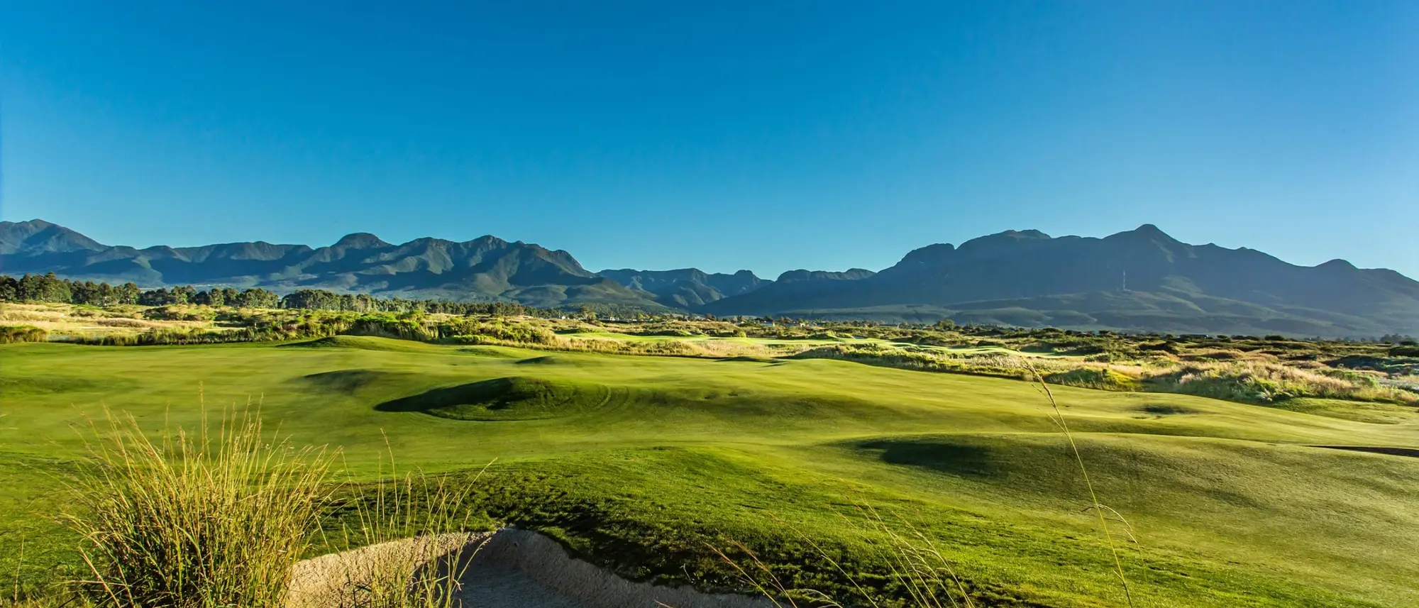 Image Title Image Title