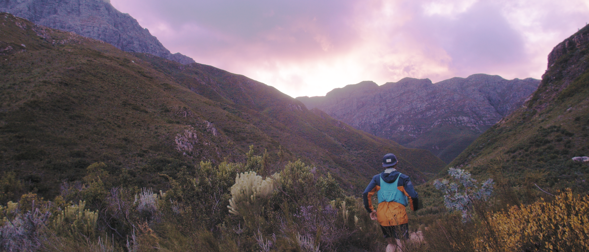 Image Title Image Title