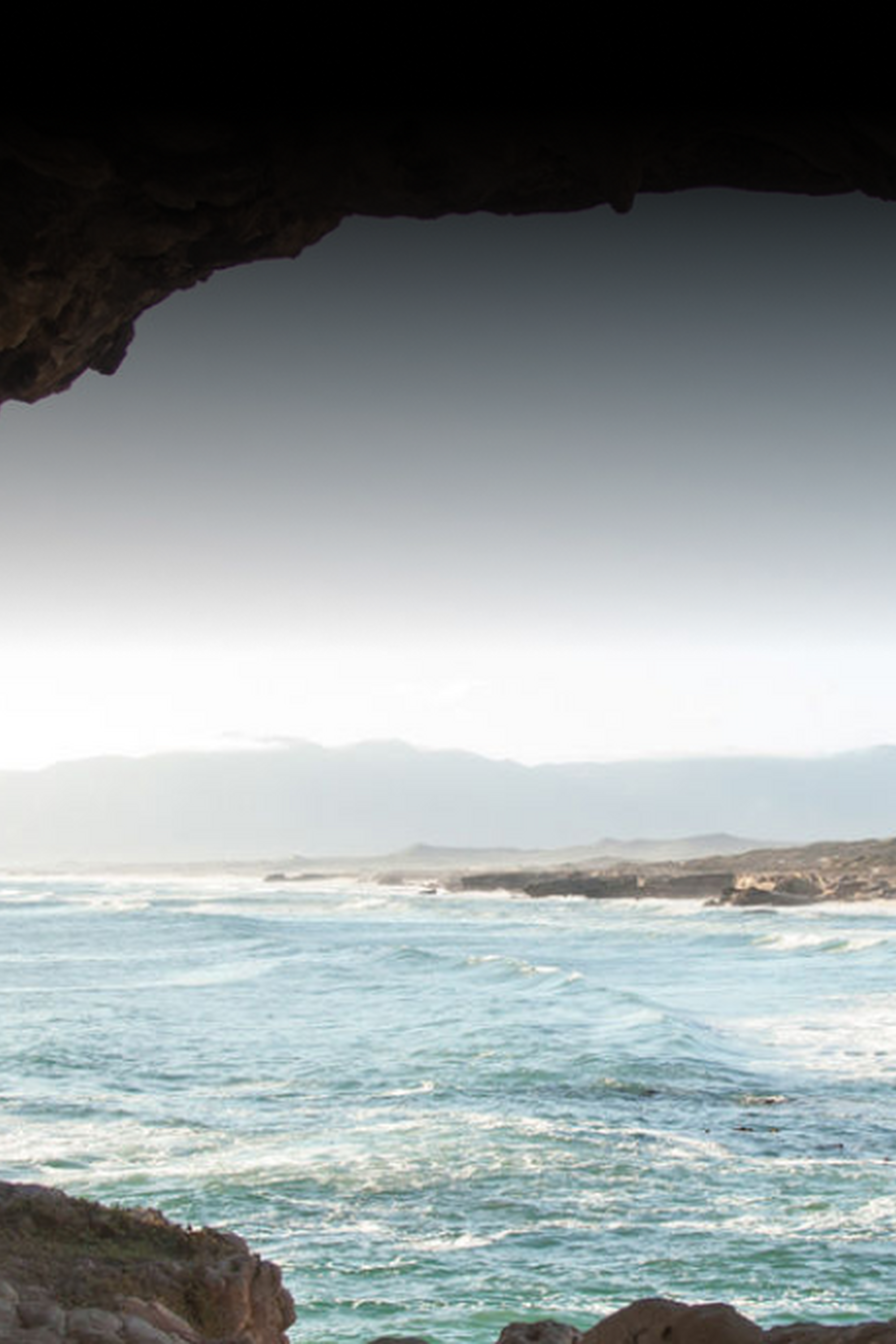 Image Title Image Title