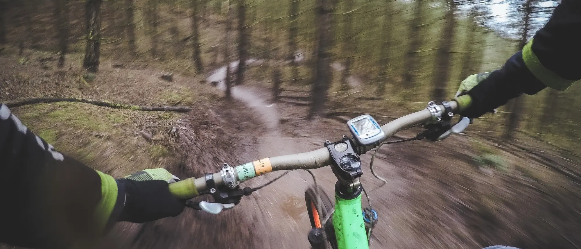 Image Title Image Title