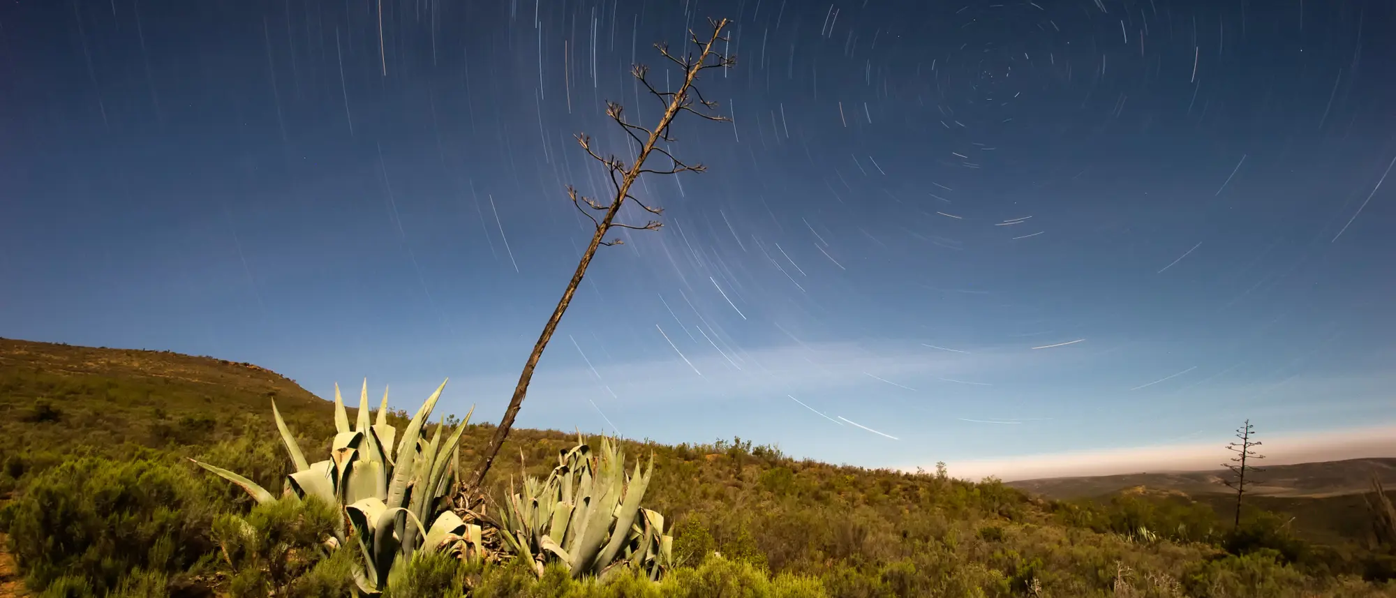 Image Title Image Title