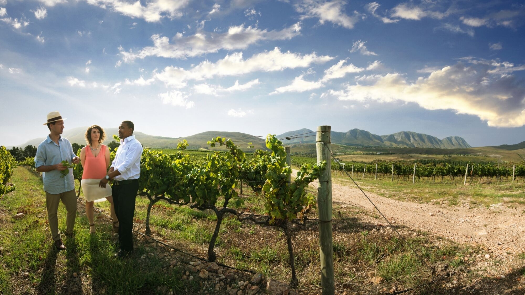 Image Title Image Title