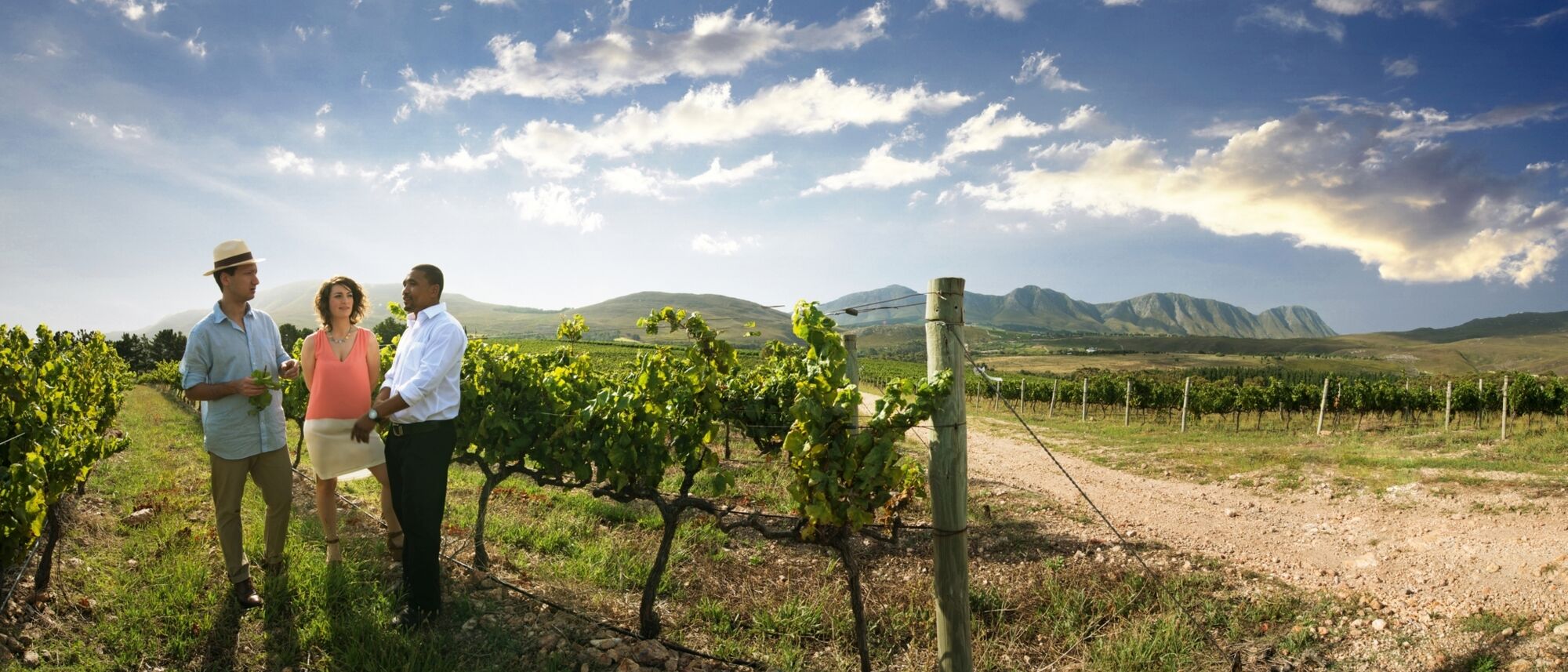 Image Title Image Title