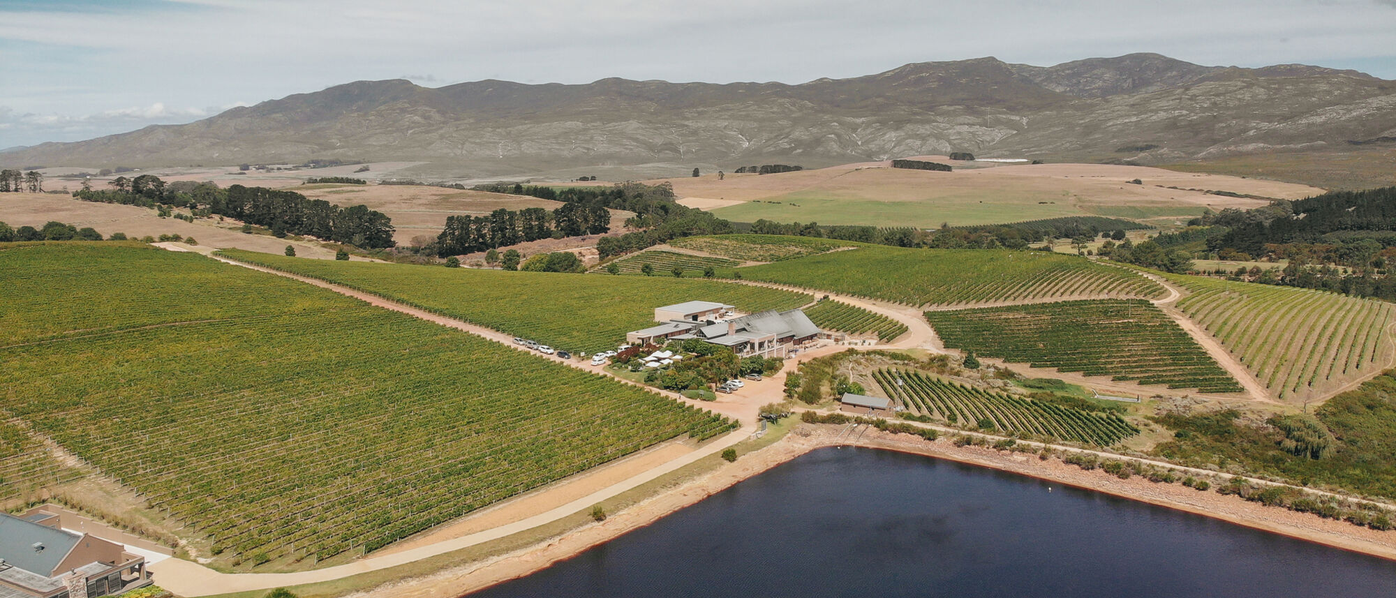 Image Title Image Title