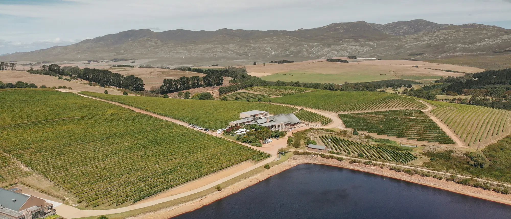 Image Title Image Title