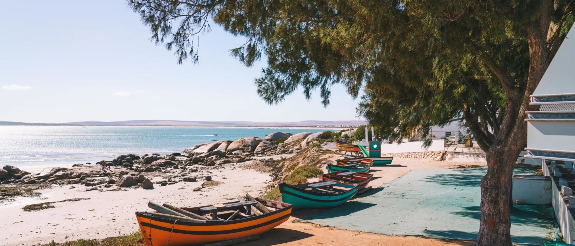 Image Title Image Title