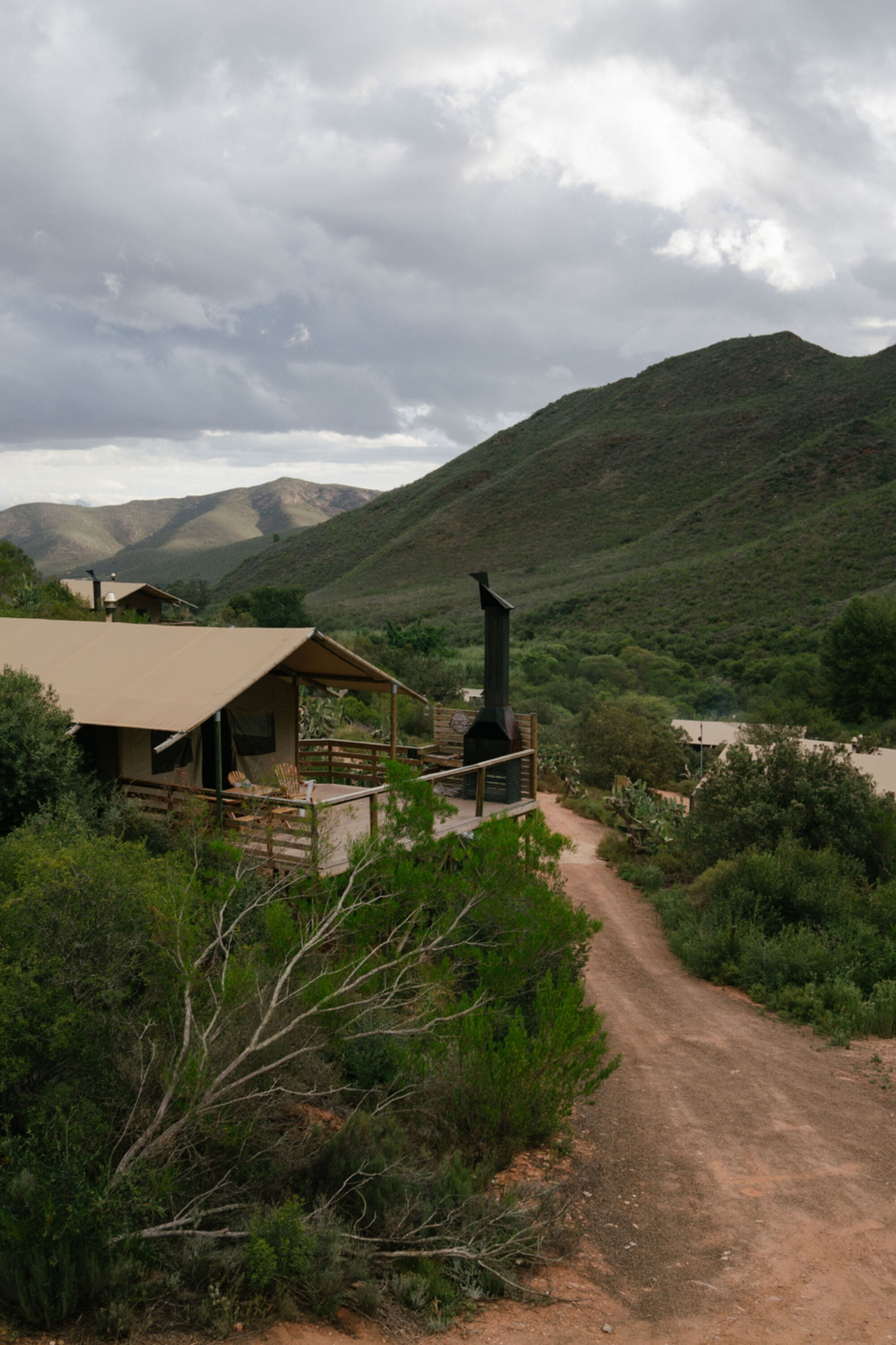 Winelands 09261 Winelands 09261