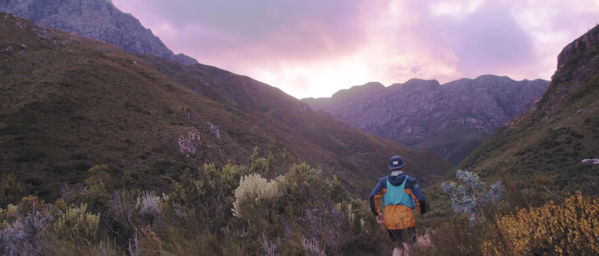 Image Title Image Title