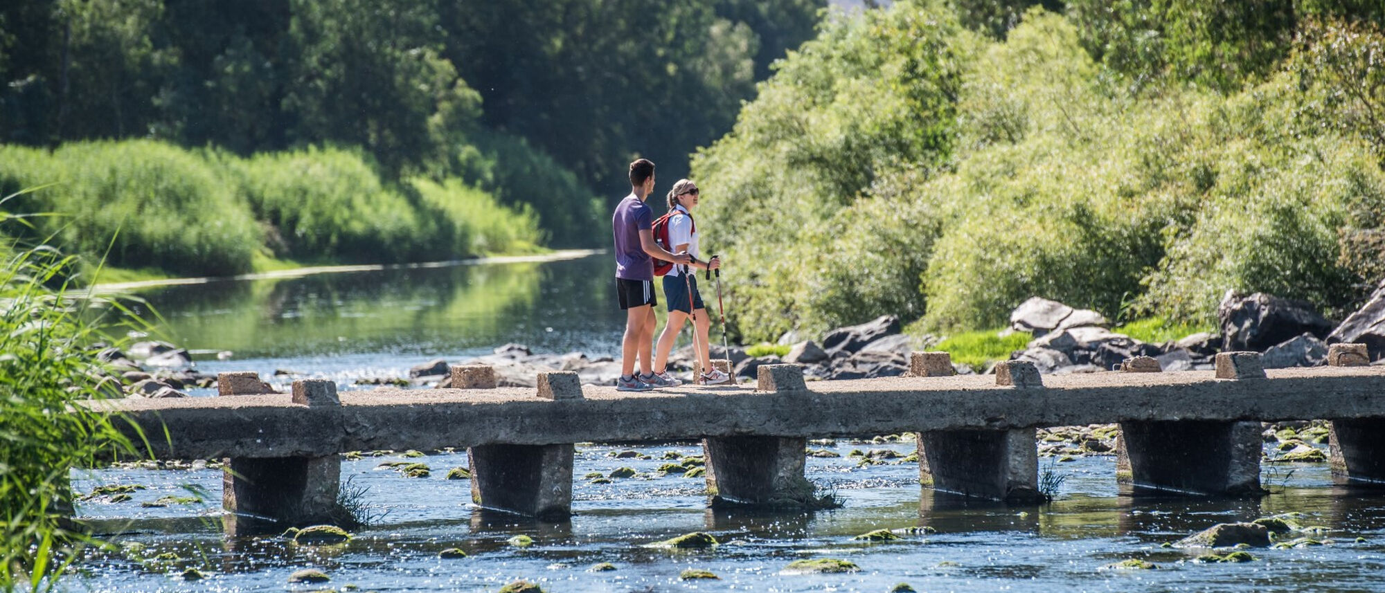 Image Title Image Title