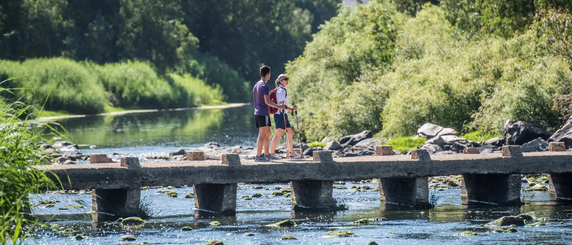 Image Title Image Title