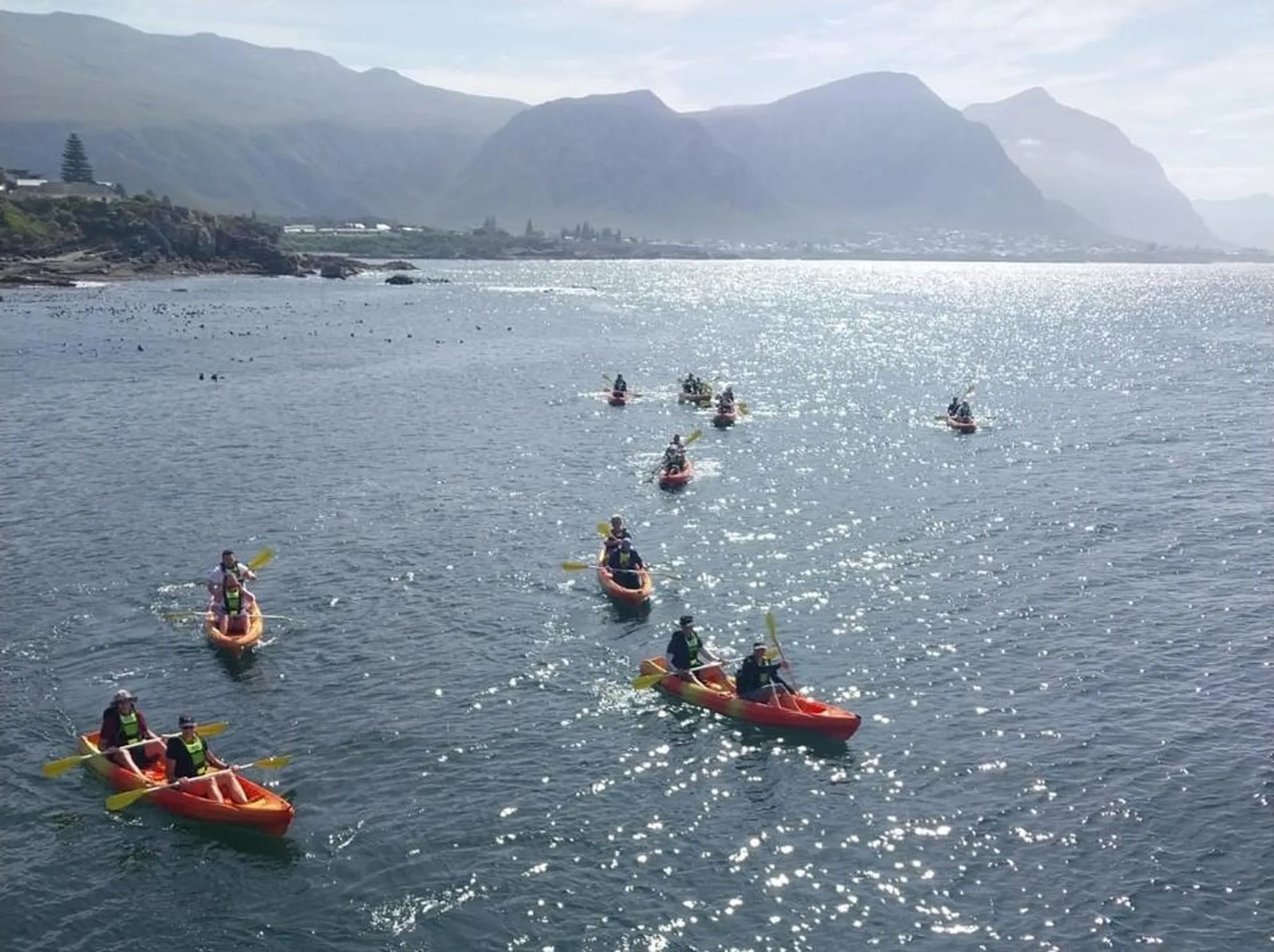 Whats App Image 2025 08 08 at 10 12 36 aafd0960 1 Whats App Image 2025 08 08 at 10 12 36 aafd0960 1