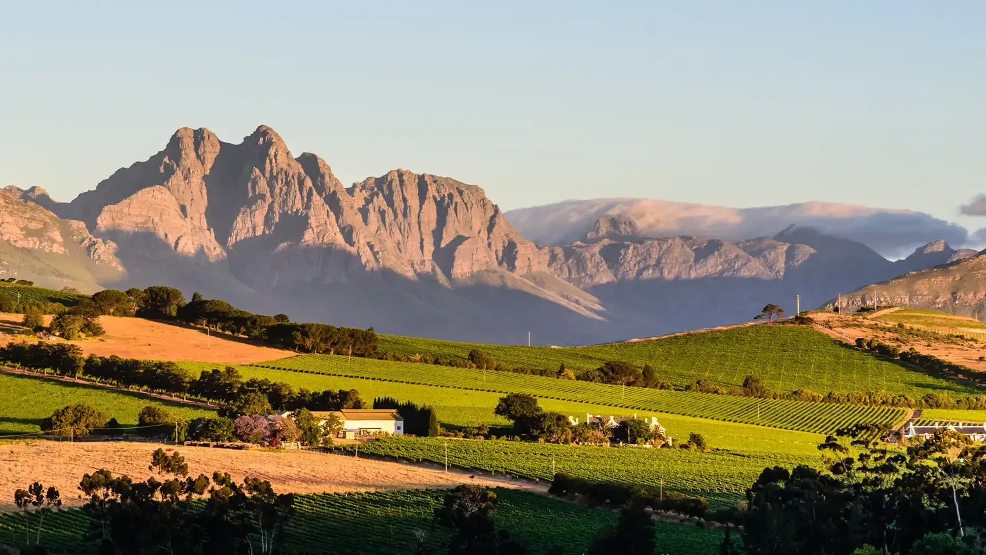 Winelands Landscape Between Stellenbosch and Franschhoek Winelands Landscape Between Stellenbosch and Franschhoek