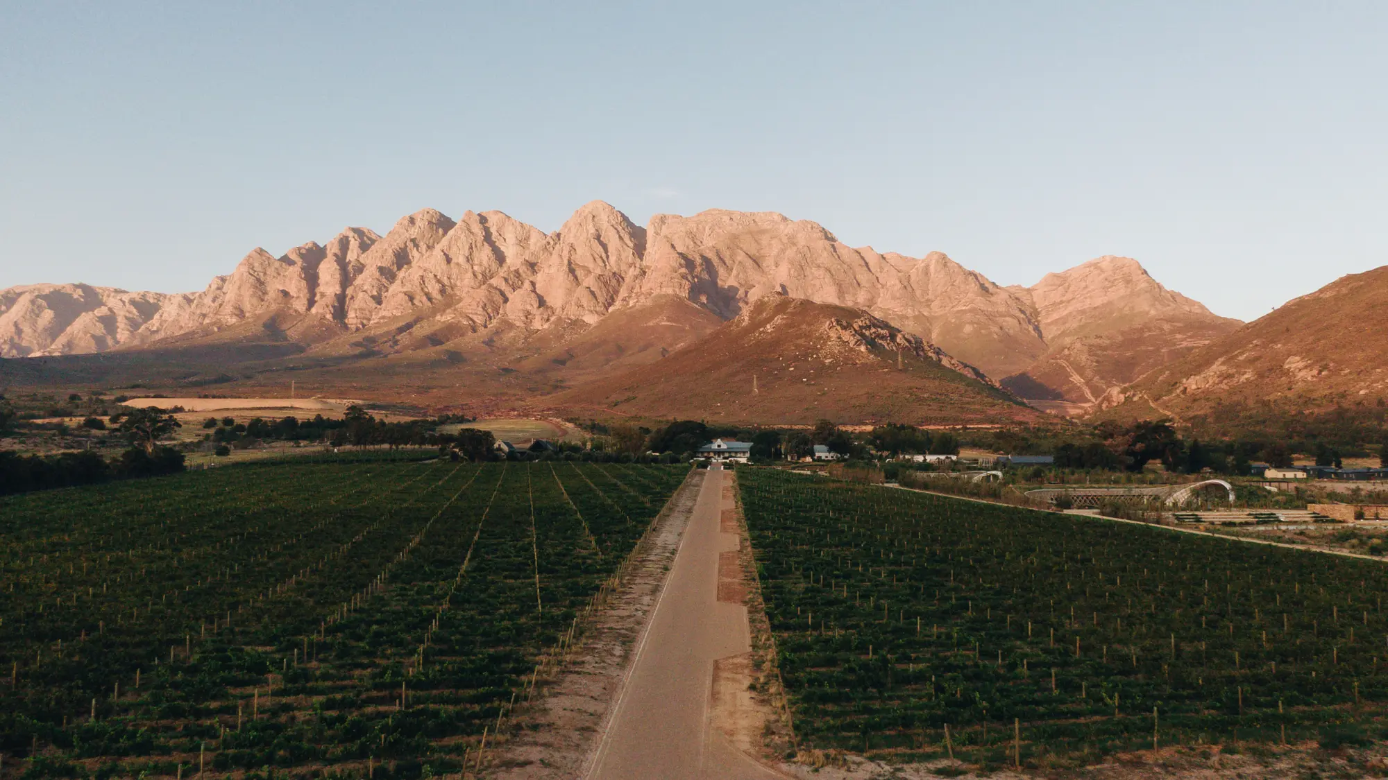 Image Title Image Title