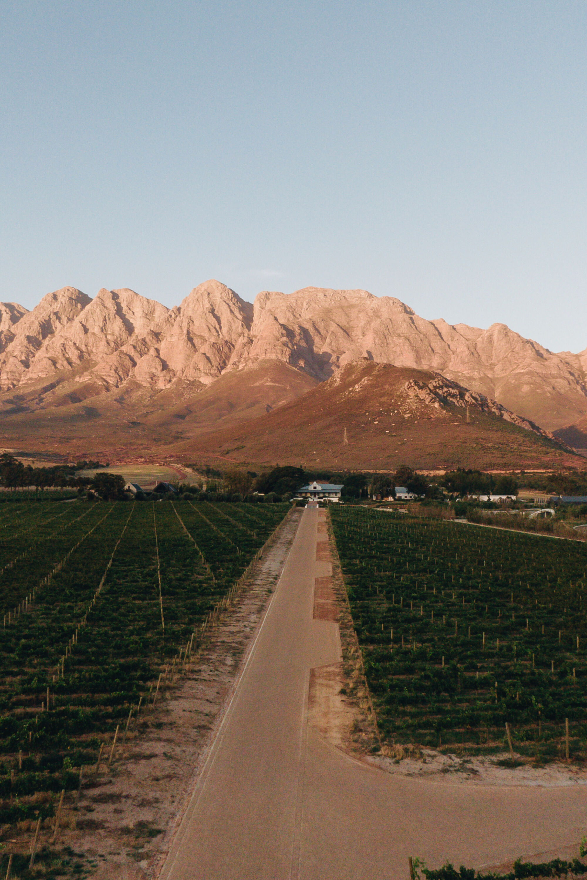 Image Title Image Title