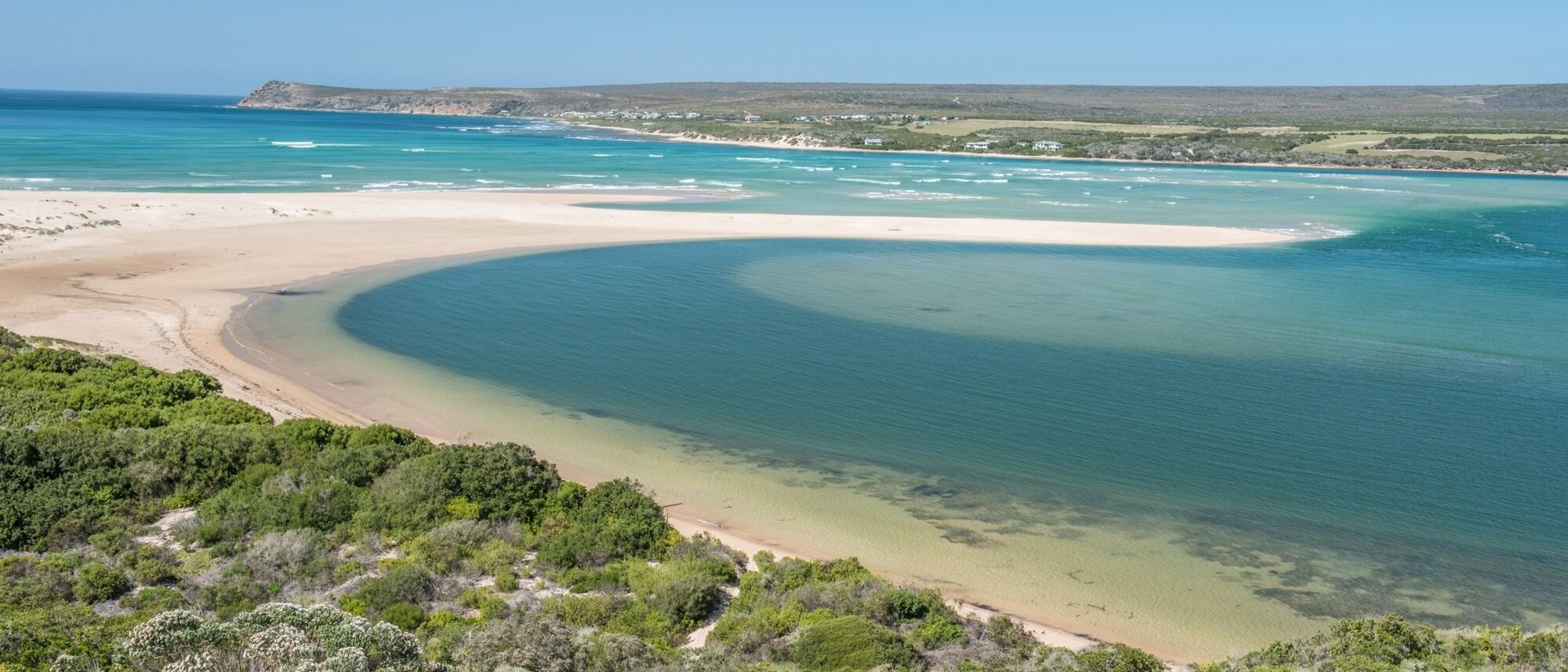 Image Title Image Title